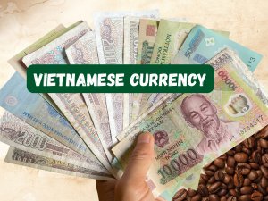 Vietnamese currency