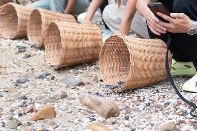 Releasing baby turtles