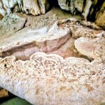A gour pool looks like a Royal Bathtub in Phong Nha cave