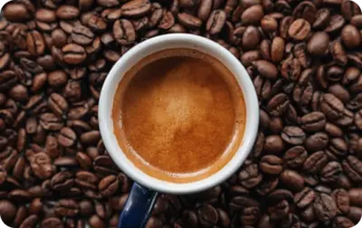 Coffee in Vietnam Central Highlands